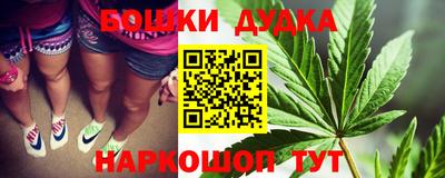 шишки Будённовск