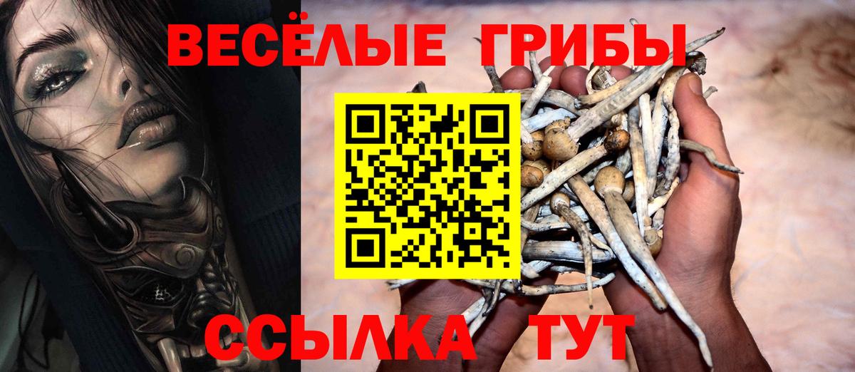 Галлюциногенные грибы GOLDEN TEACHER Строитель